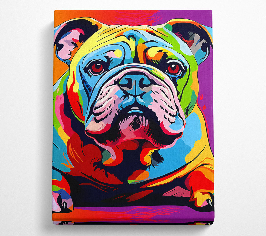  A Canvas Print of Pop Art Bulldog Canvas Print
