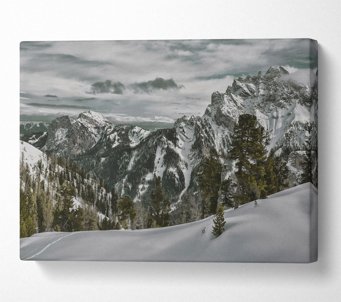  A Canvas Print of White Peaks And Pines Canvas Wall Art