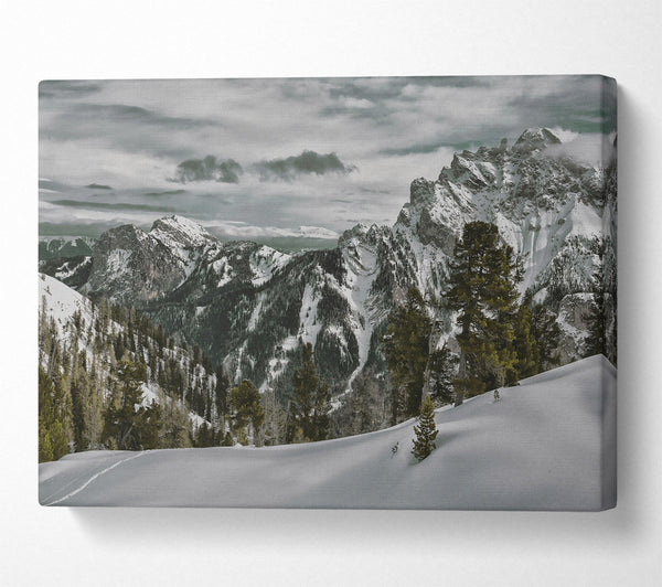  A Canvas Print of White Peaks And Pines Canvas Wall Art
