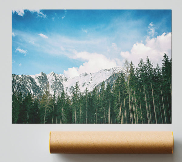 Azure Mountain Pines Print