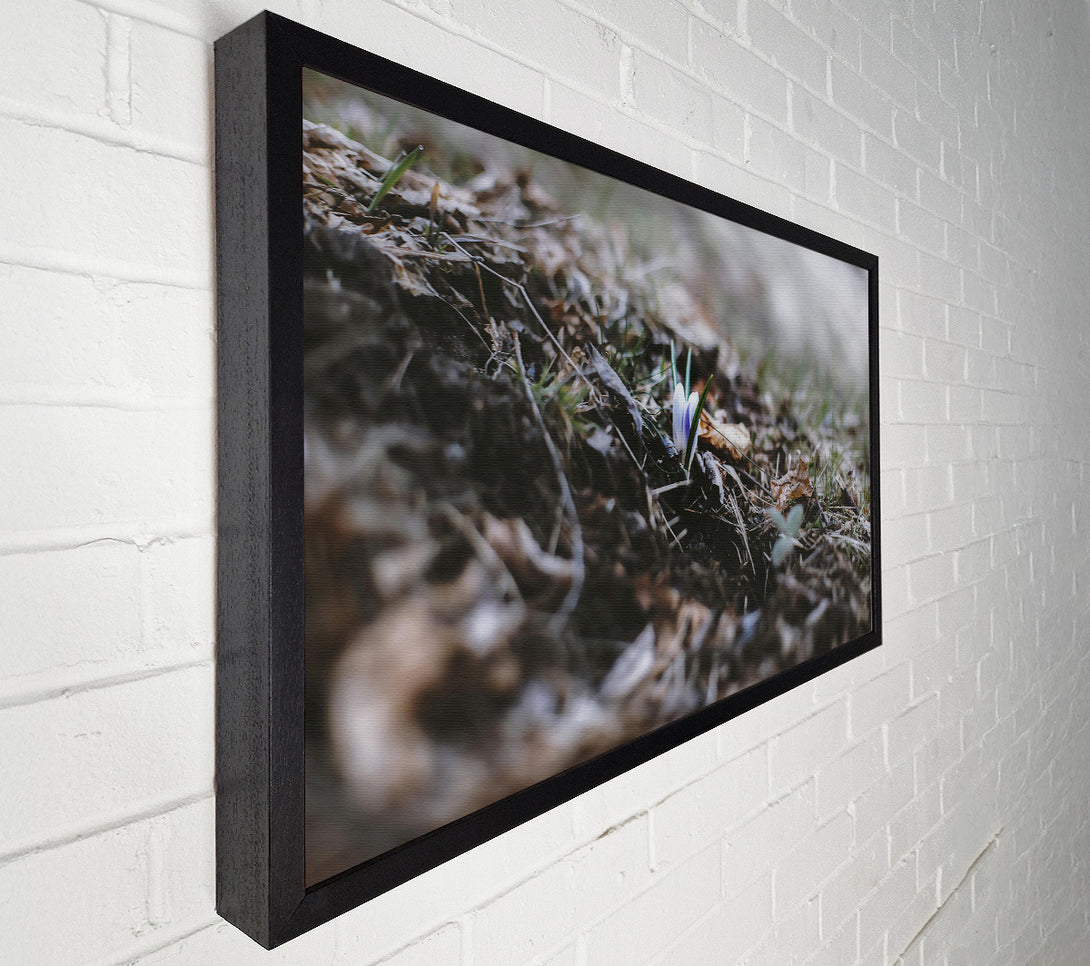  A Canvas Print of Brown Earth'S Embrace Canvas Wall Art