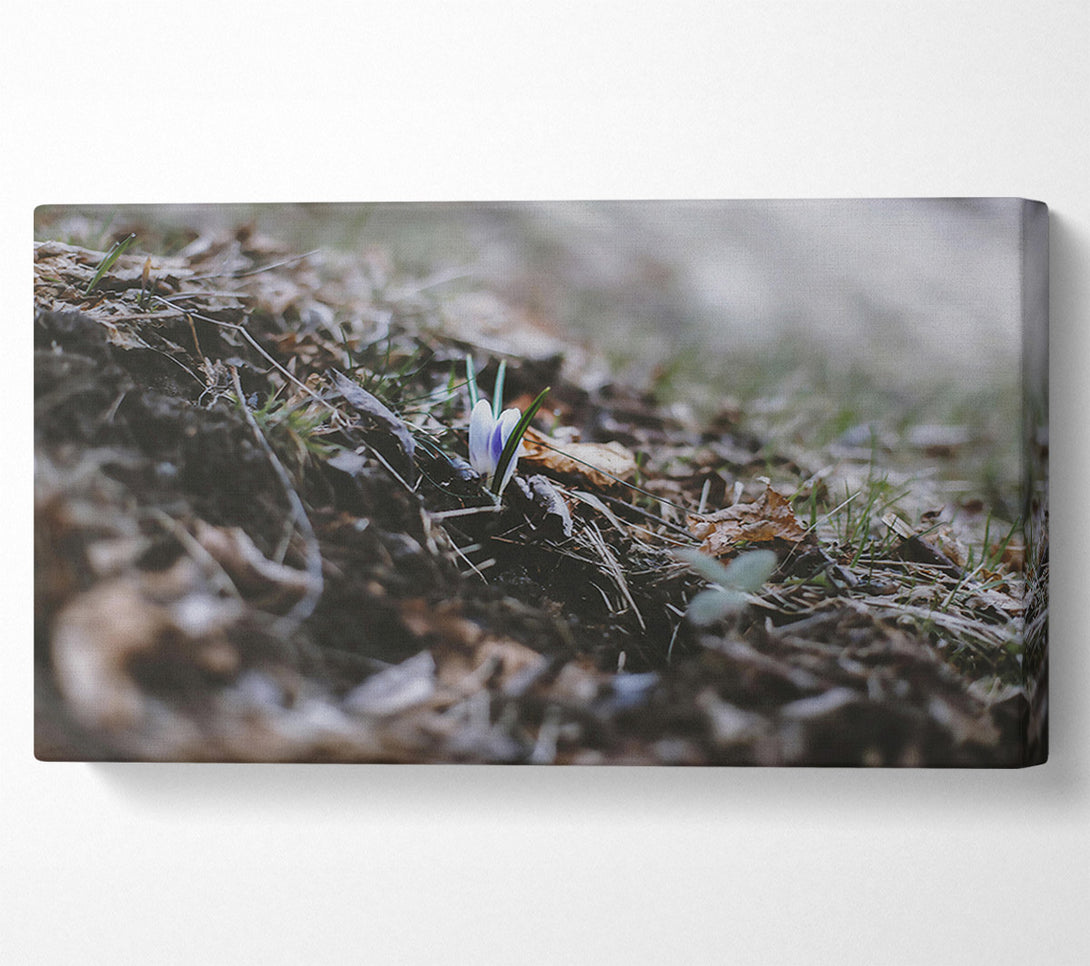  A Canvas Print of Brown Earth'S Embrace Canvas Wall Art