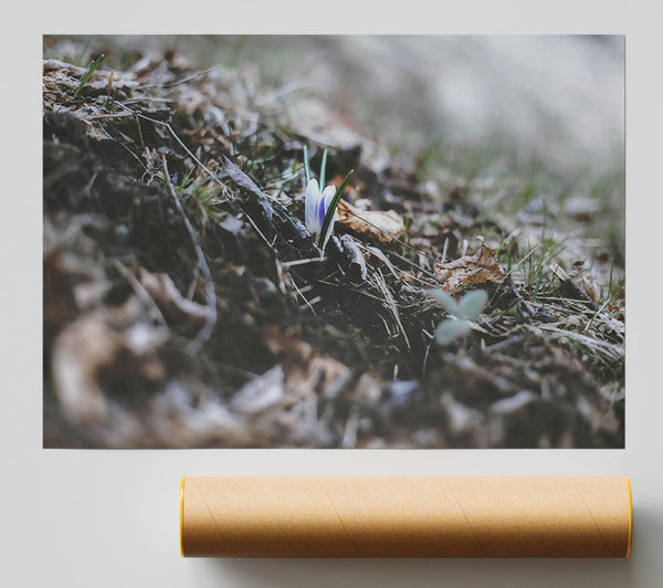 Brown Earth'S Embrace Print
