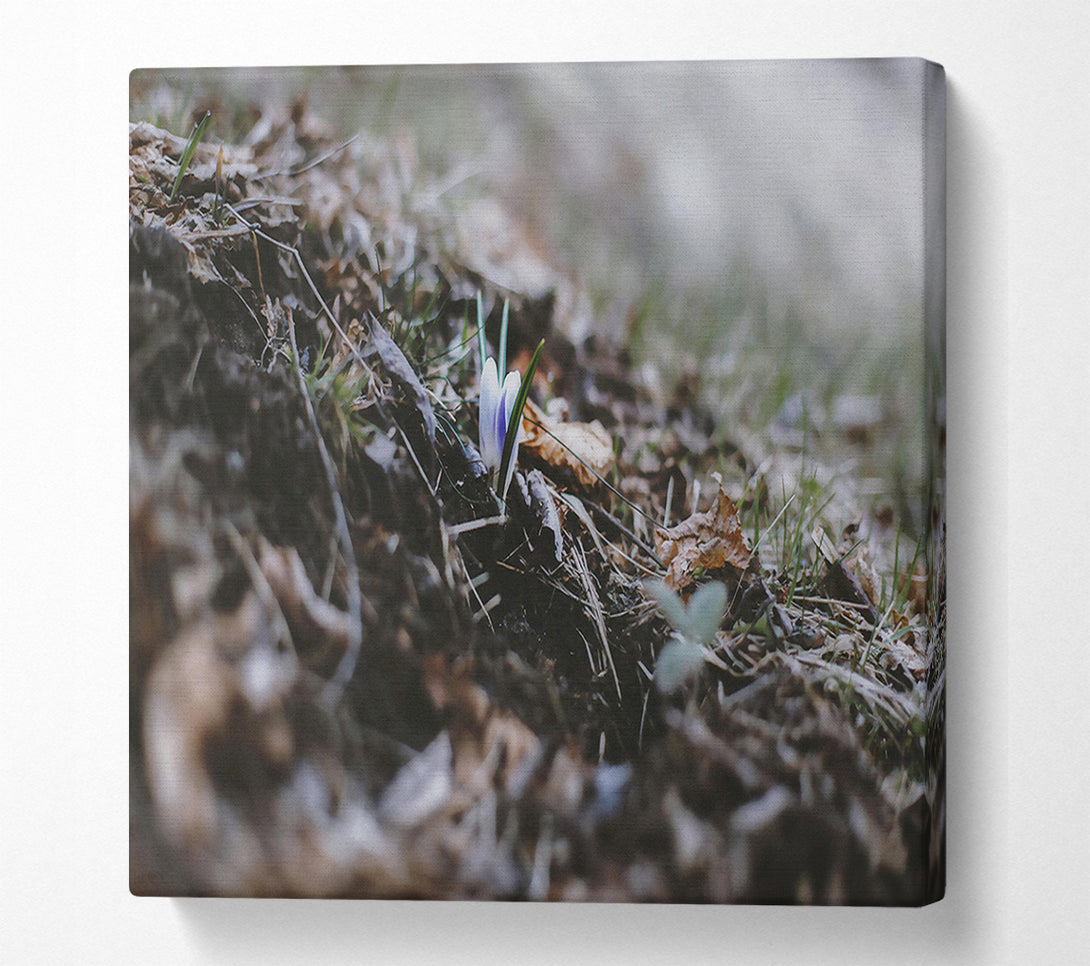  A Canvas Print of Brown Earth'S Embrace Canvas Wall Art