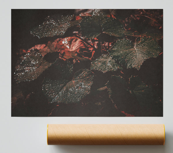 Crimson Leaf Shadow Poster
