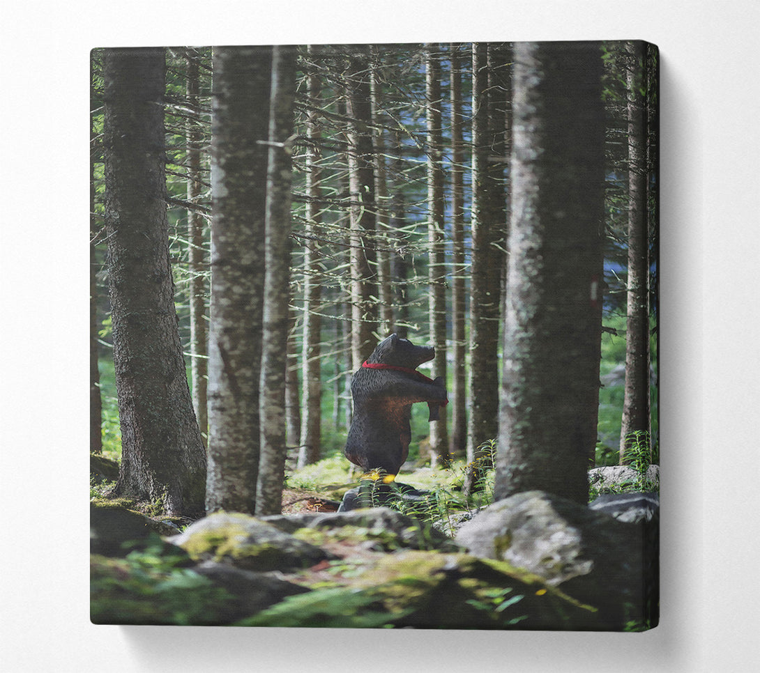  A Canvas Print of Black Bear In The Woods Canvas Wall Art