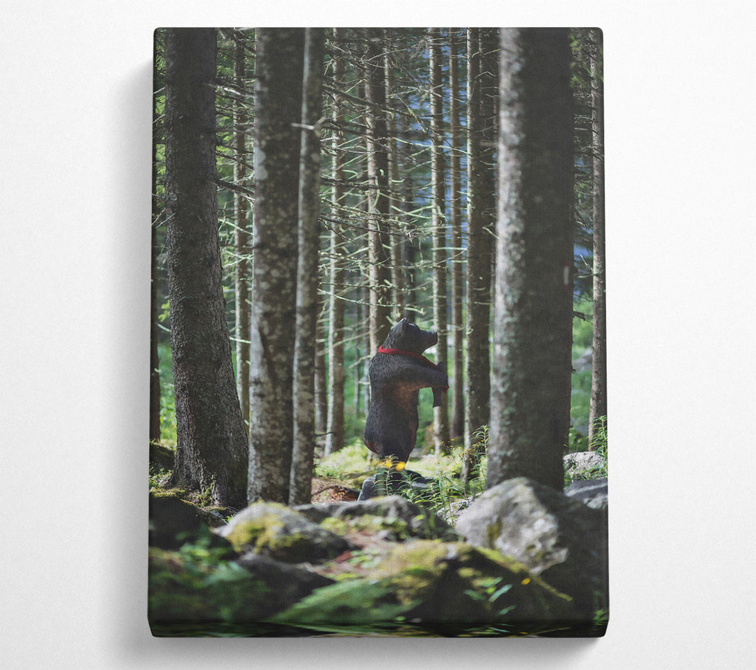  A Canvas Print of Black Bear In The Woods Canvas Wall Art