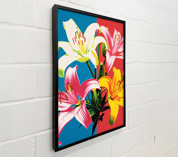 Pop Lillies