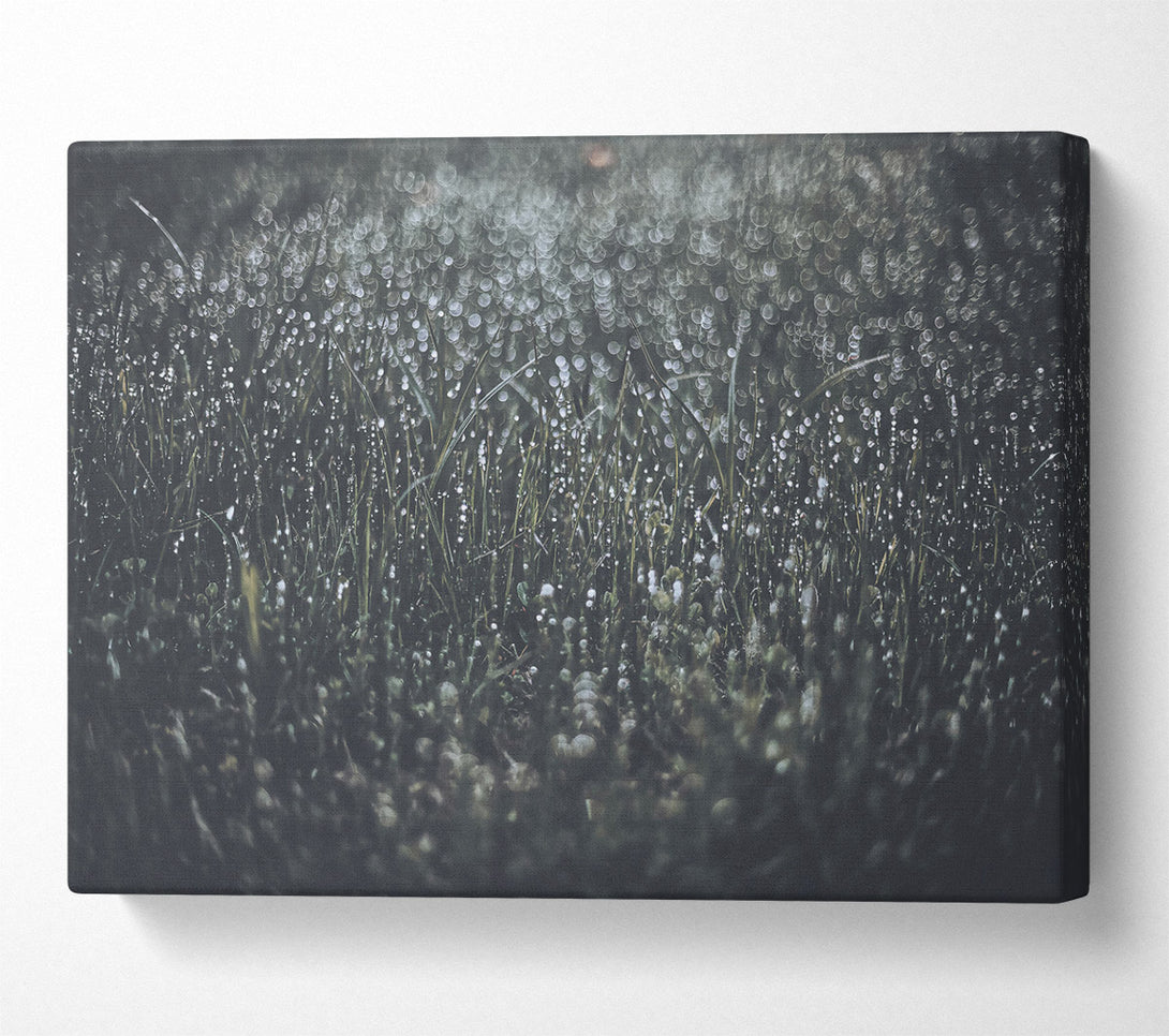  A Canvas Print of Emerald Dew Drops Canvas Wall Art