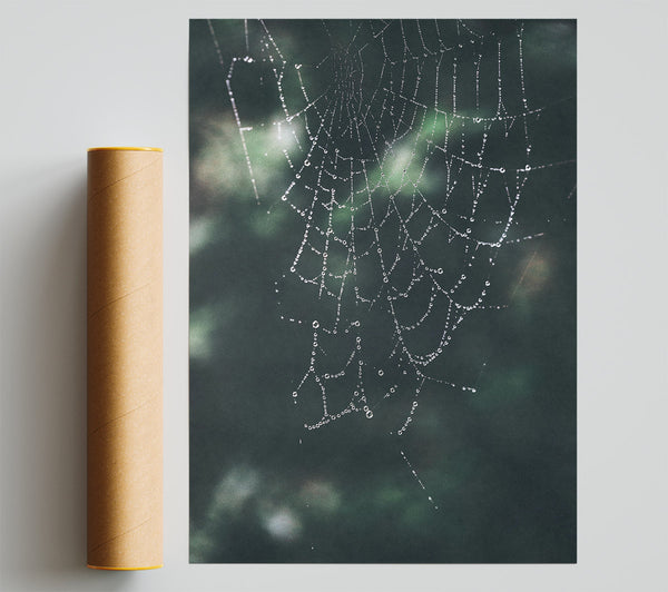 Emerald Dewdrop Web Print