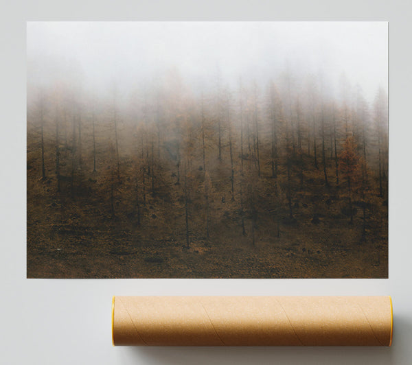Brown Foggy Forest Print