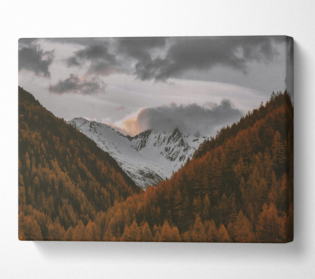  A Canvas Print of Golden Mountain Peaks Canvas Print
