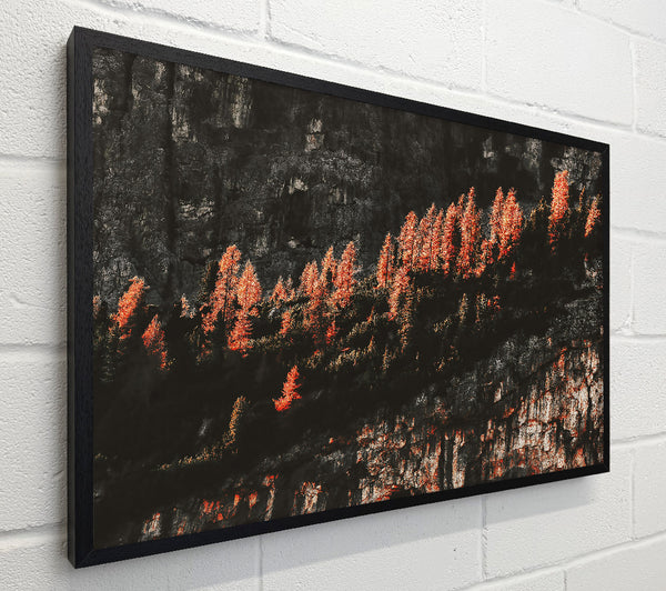 Crimson Cliffside Trees