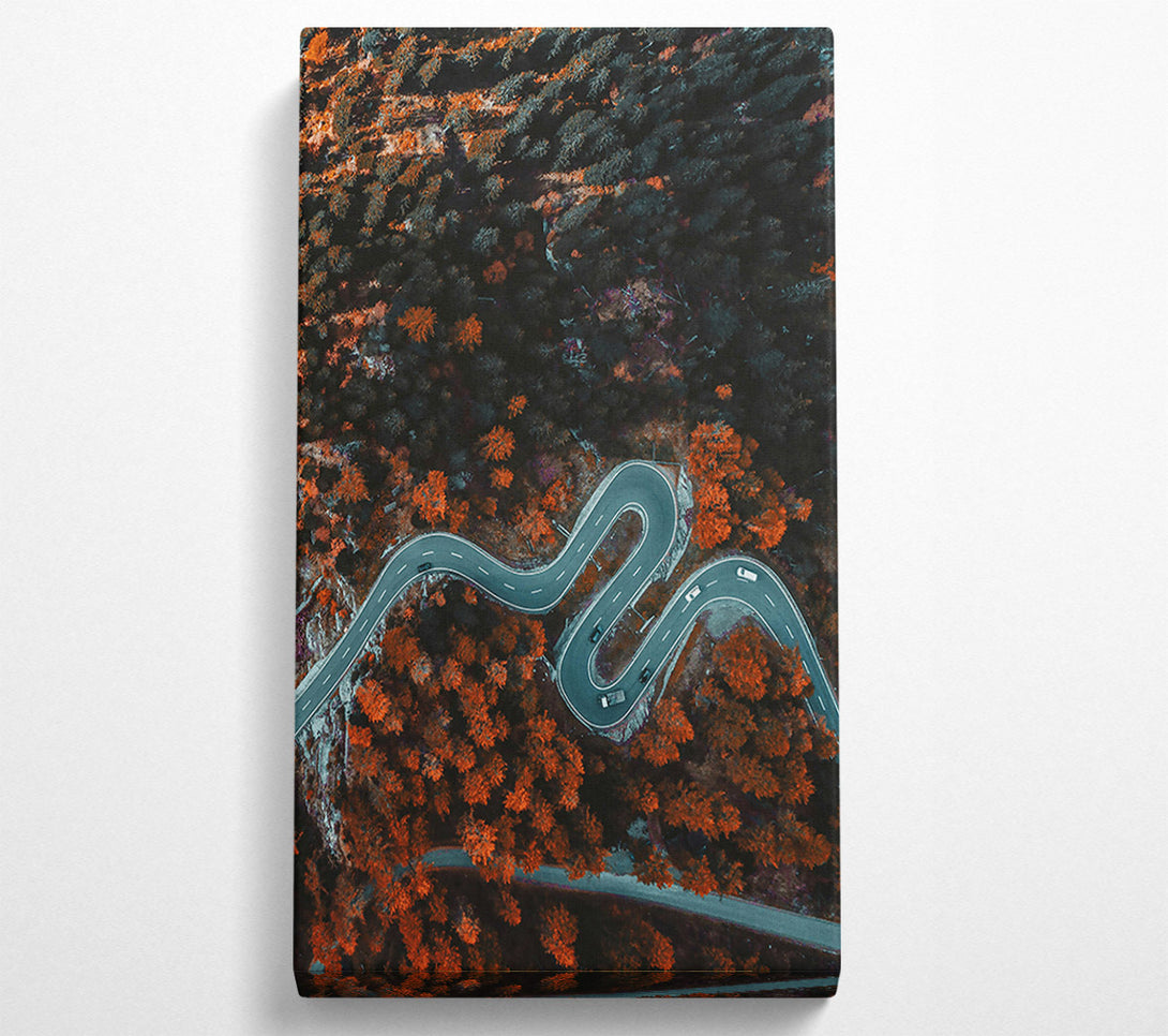  A Canvas Print of Orange Forest Road Winding Canvas Art
