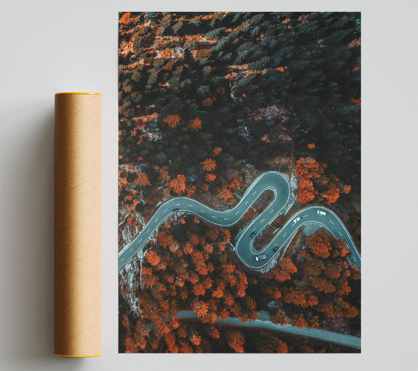 Orange Forest Road Winding Poster