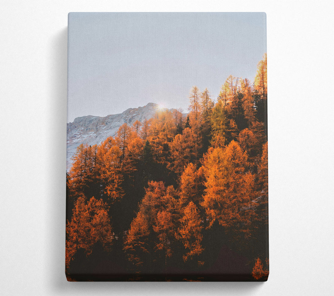  A Canvas Print of Golden Autumn Forest Canvas Wall Art