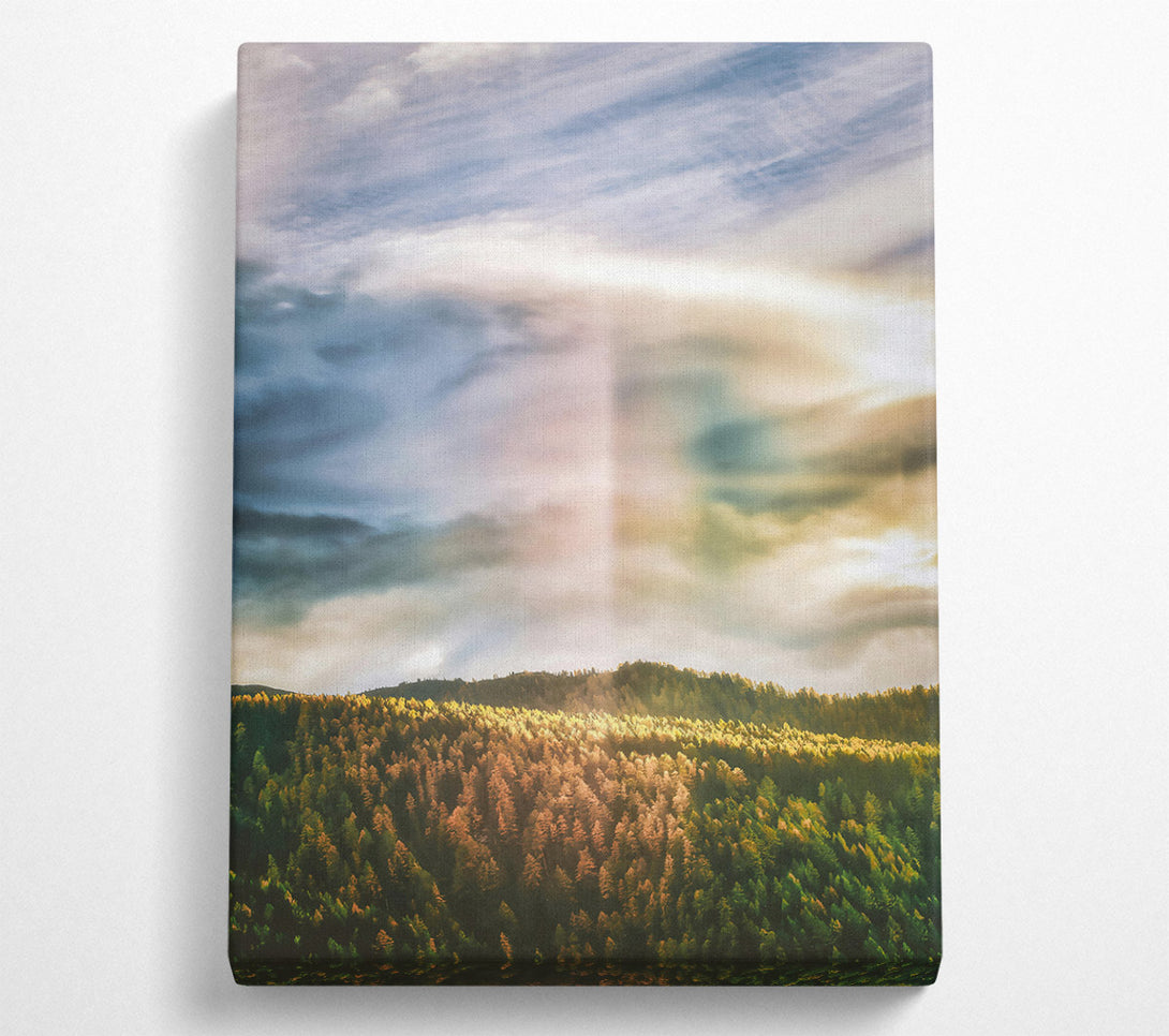  A Canvas Print of Golden Forest Light Canvas Wall Art