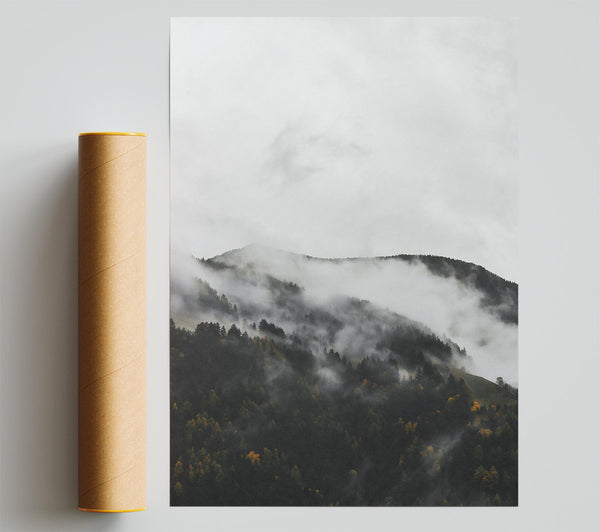 Gray Mist On Pines Giclee Print