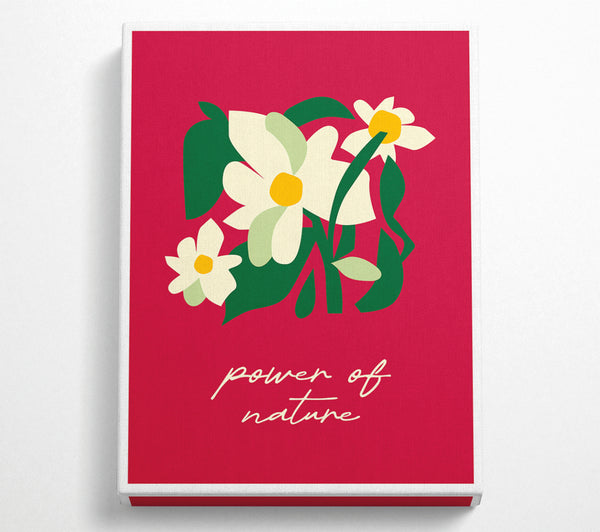  A Canvas Print of Power Of Nature Bohemian Canvas Art