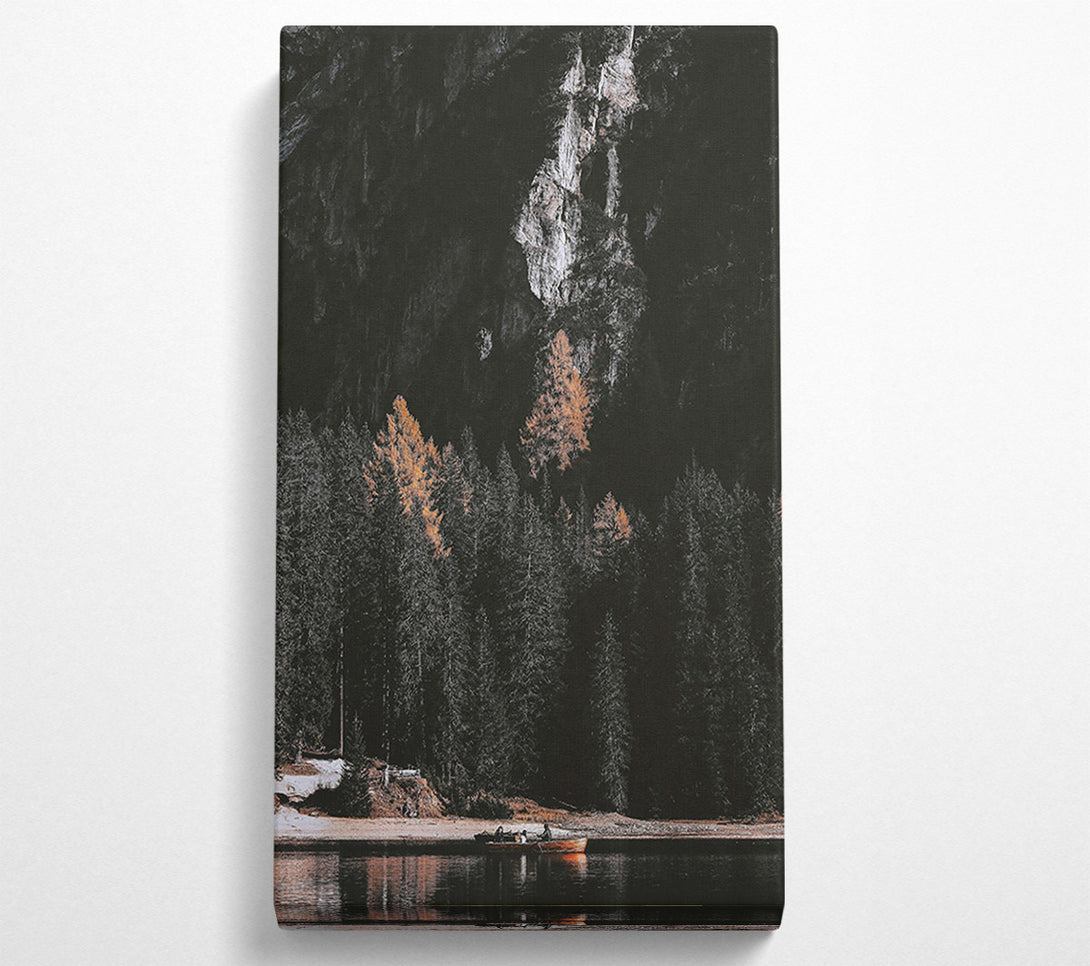  A Canvas Print of Golden Pines And Shadows Canvas Art