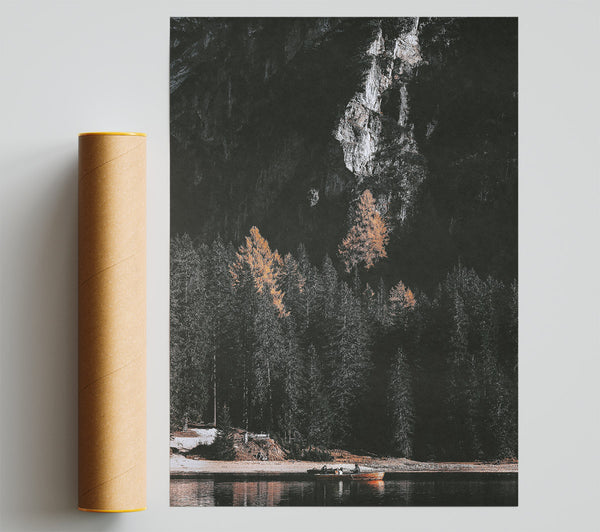 Golden Pines And Shadows Poster