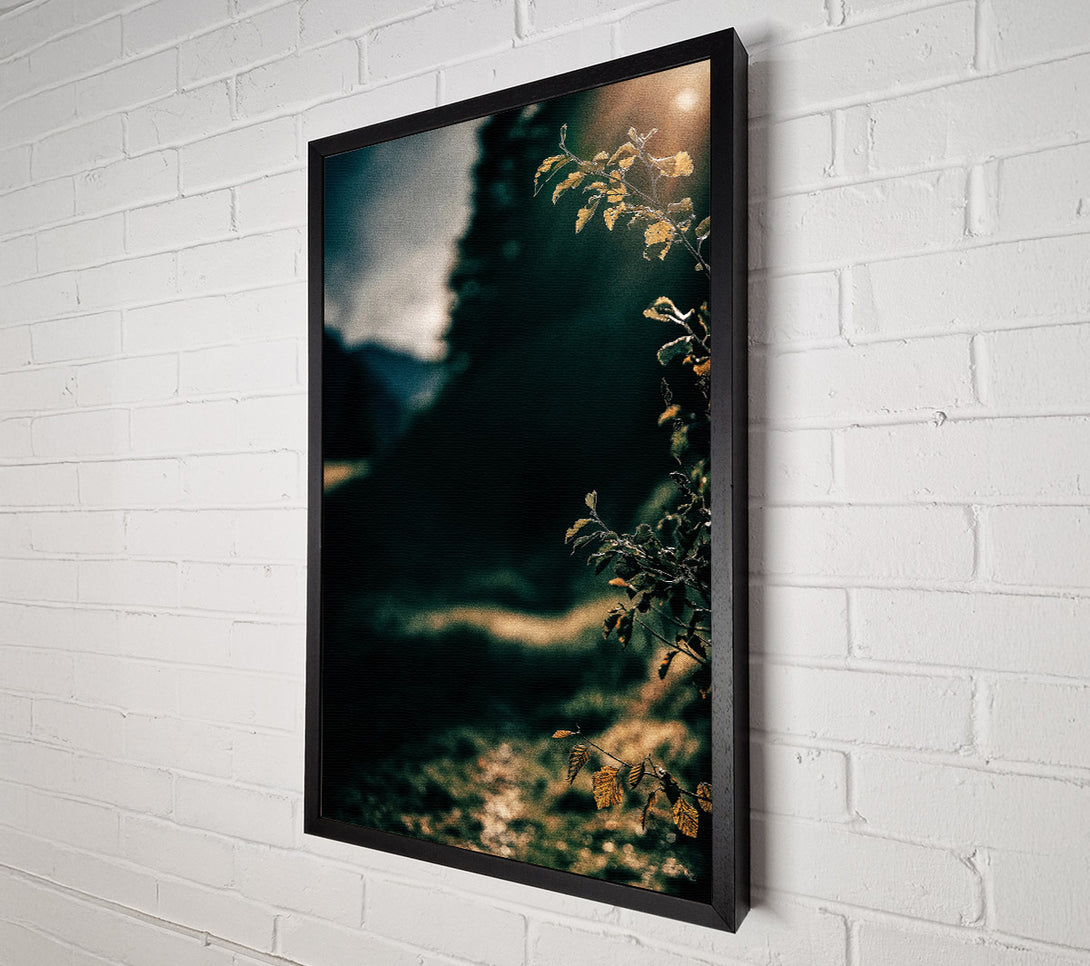  A Canvas Print of Golden Light Through Green Canvas Print
