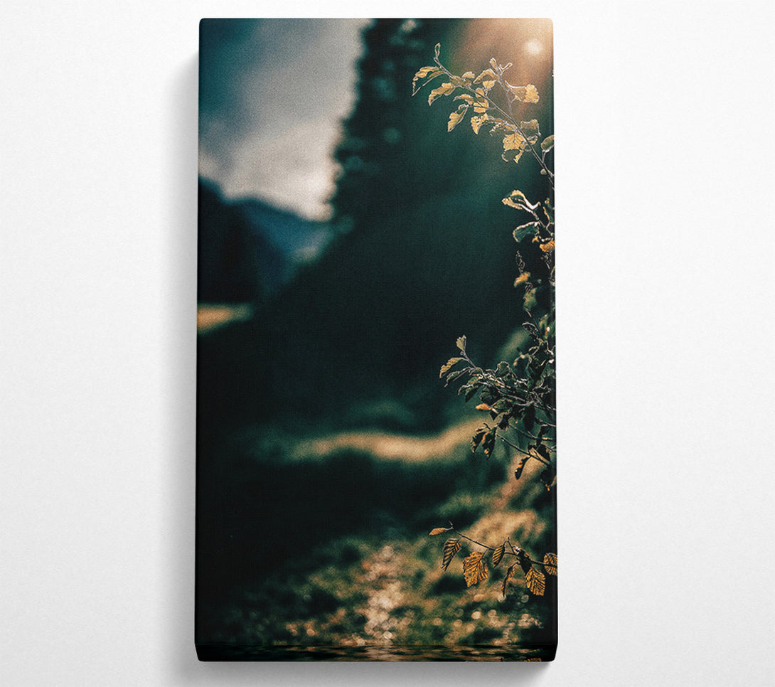  A Canvas Print of Golden Light Through Green Canvas Print