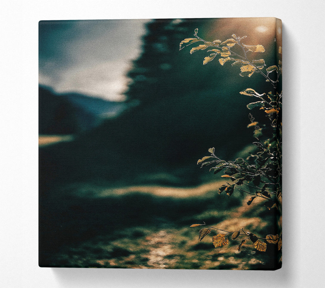  A Canvas Print of Golden Light Through Green Canvas Print
