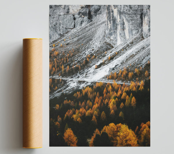 Golden Pines And Snow Print