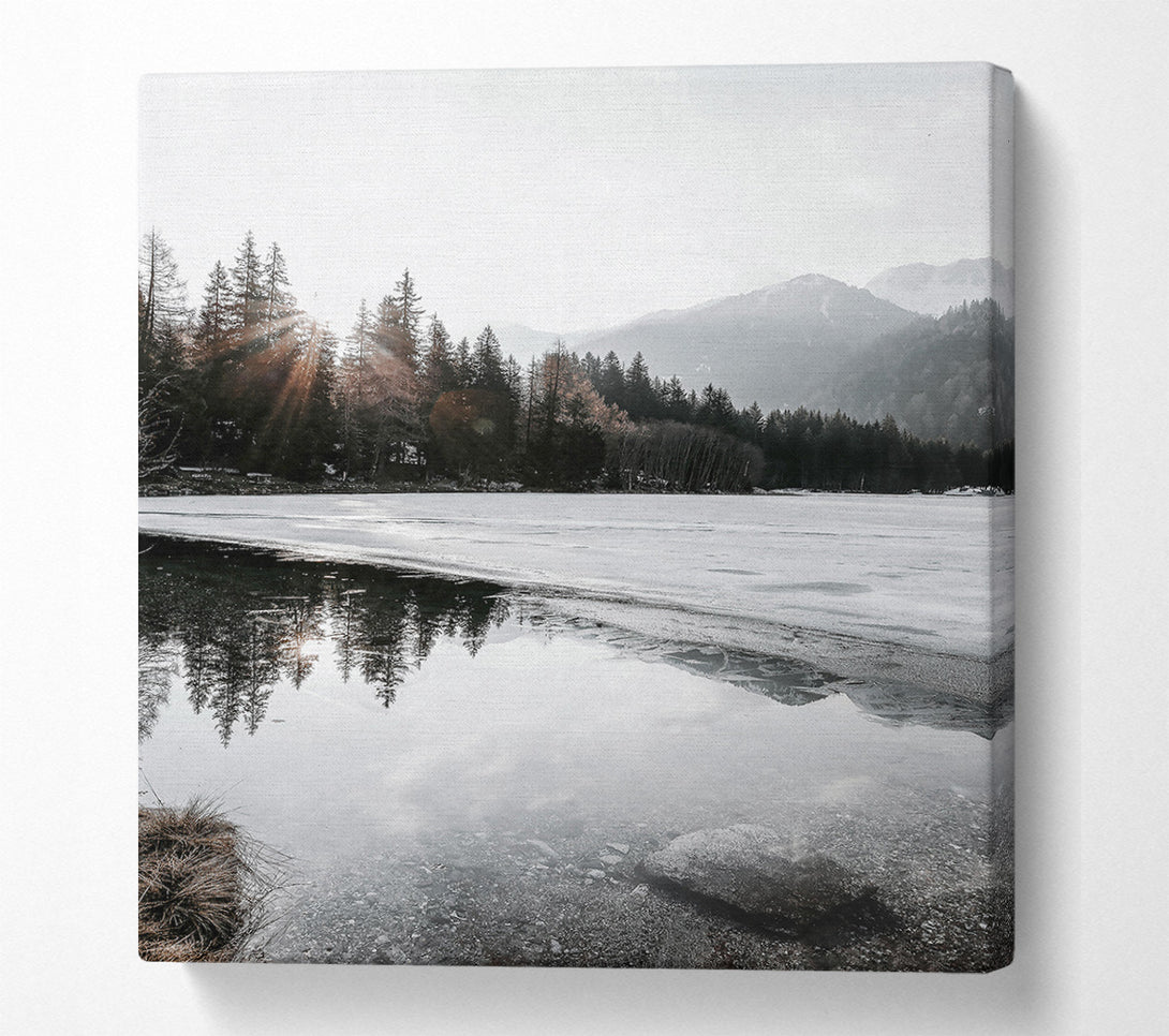  A Canvas Print of White Sun Reflections Canvas Art