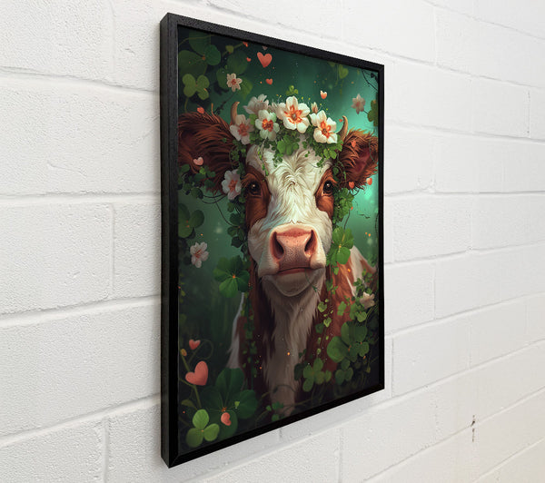 Pretty Highhland Cow