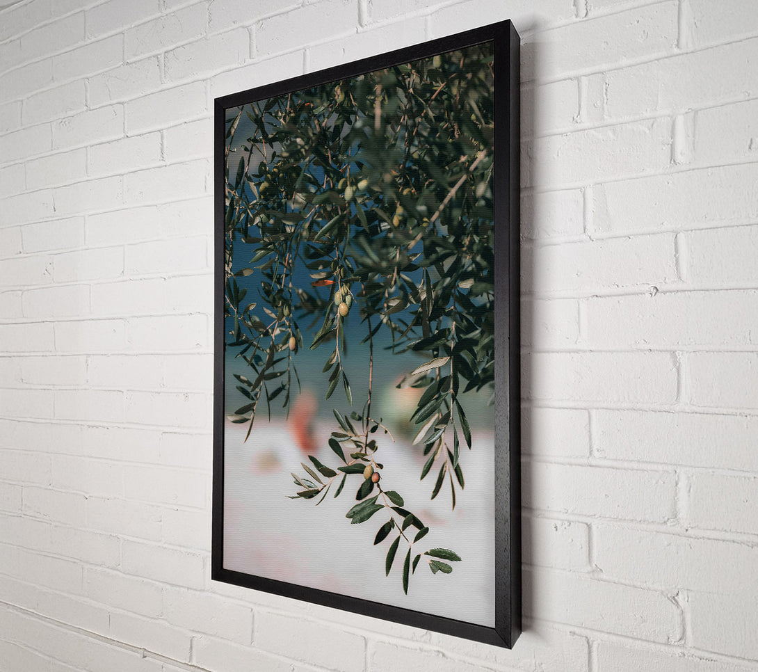  A Canvas Print of Green Olive Branches Canvas Wall Art