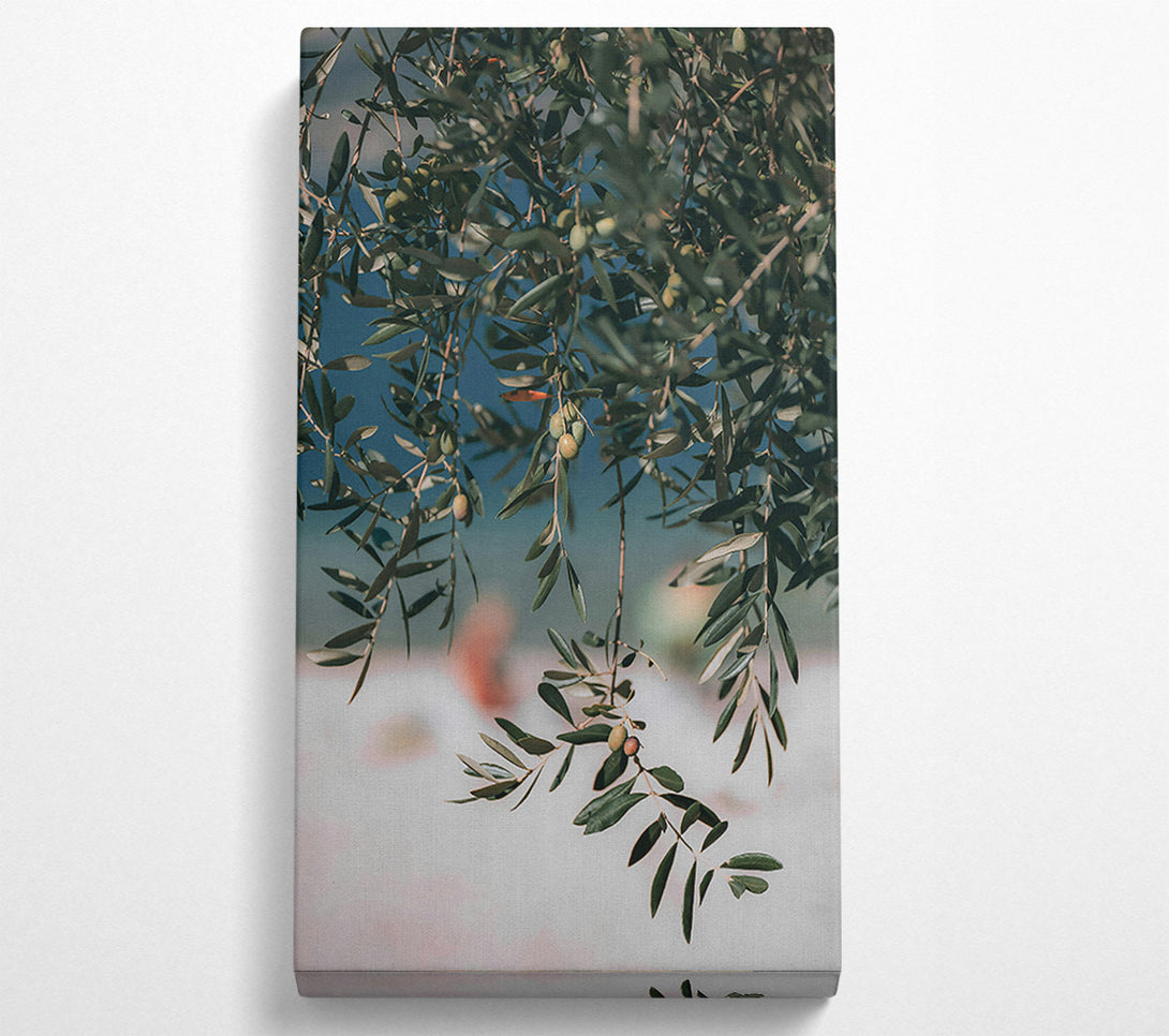  A Canvas Print of Green Olive Branches Canvas Wall Art