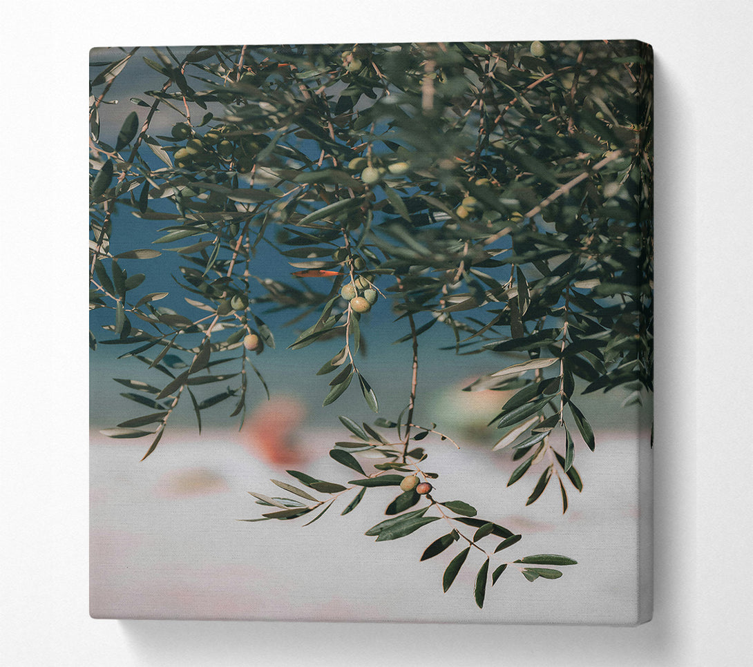  A Canvas Print of Green Olive Branches Canvas Wall Art