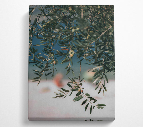  A Canvas Print of Green Olive Branches Canvas Wall Art