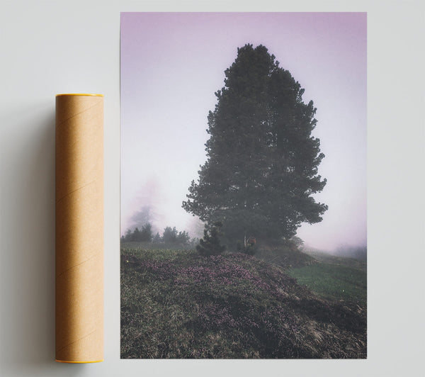 Lavender Fog Silhouette Giclee Print