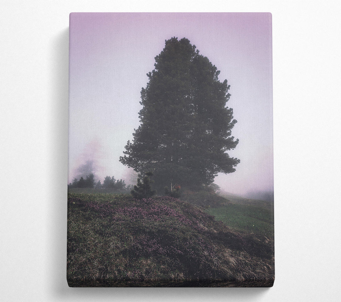  A Canvas Print of Lavender Fog Silhouette Canvas Art
