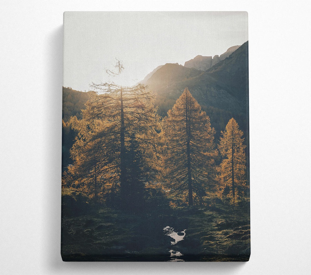  A Canvas Print of Golden Mountain Shadows Canvas Art