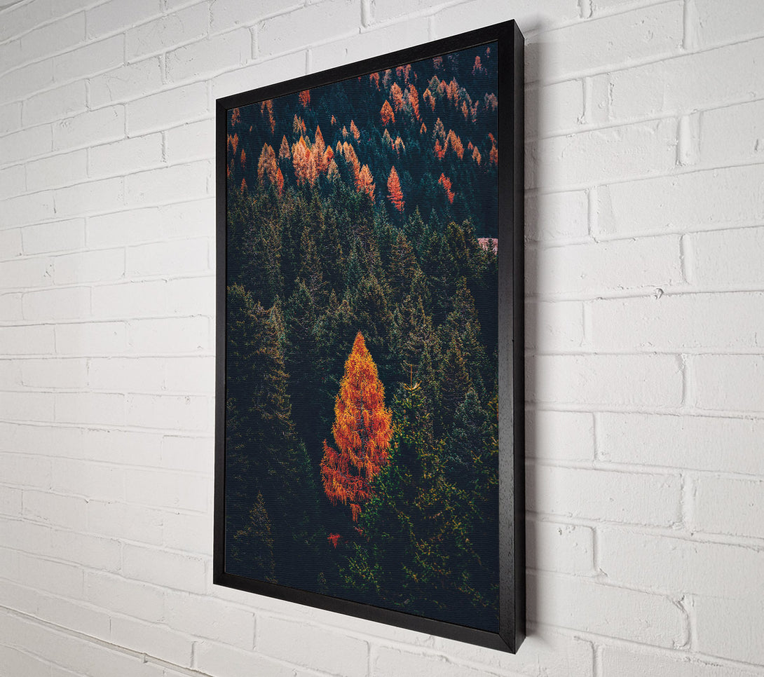  A Canvas Print of Autumn Orange Forest Canvas Art