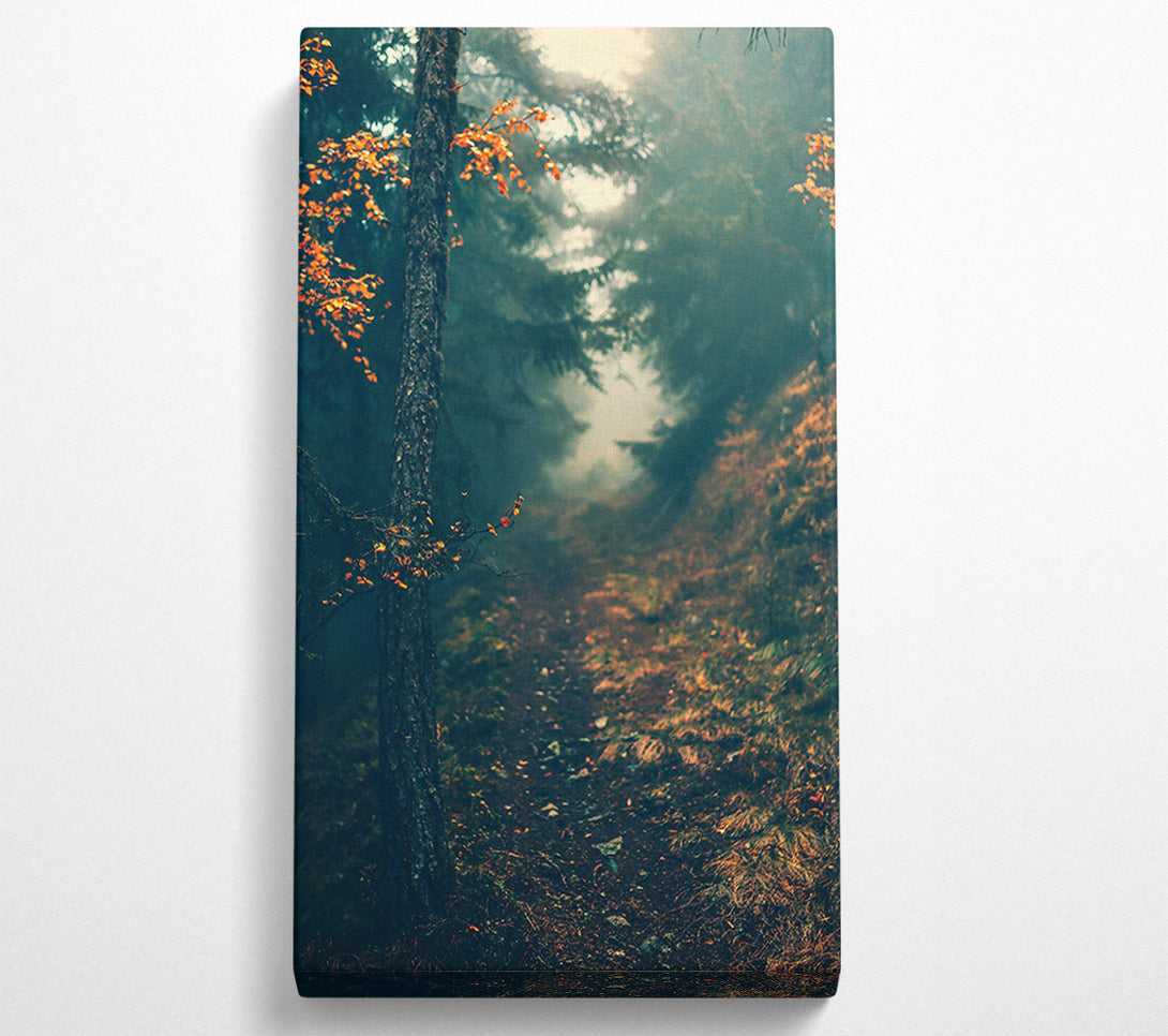  A Canvas Print of Deep Green Forest Path Canvas Print
