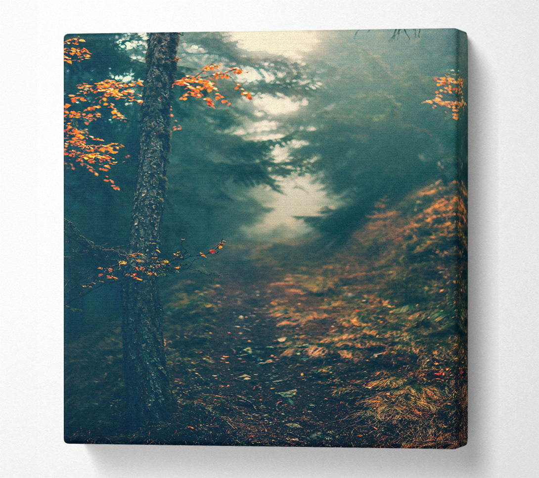  A Canvas Print of Deep Green Forest Path Canvas Print