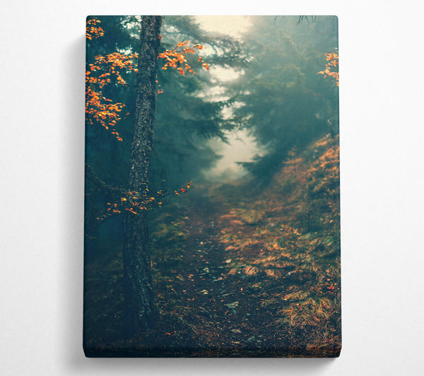 A Canvas Print of Deep Green Forest Path Canvas Print