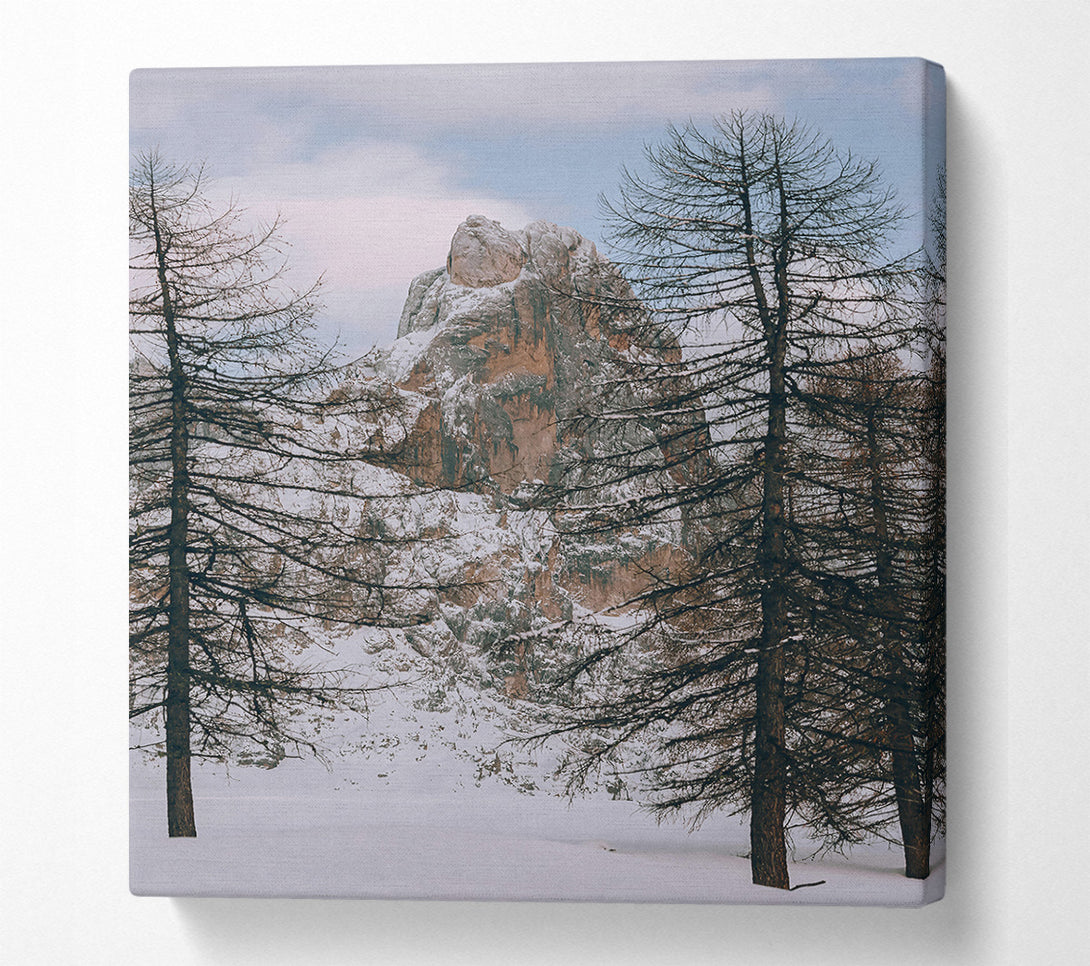  A Canvas Print of White Snow Mountain Peak Canvas Print