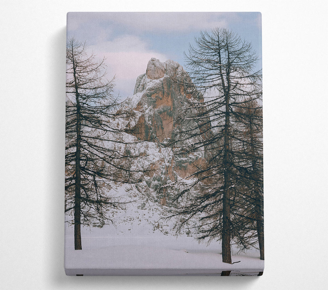  A Canvas Print of White Snow Mountain Peak Canvas Print