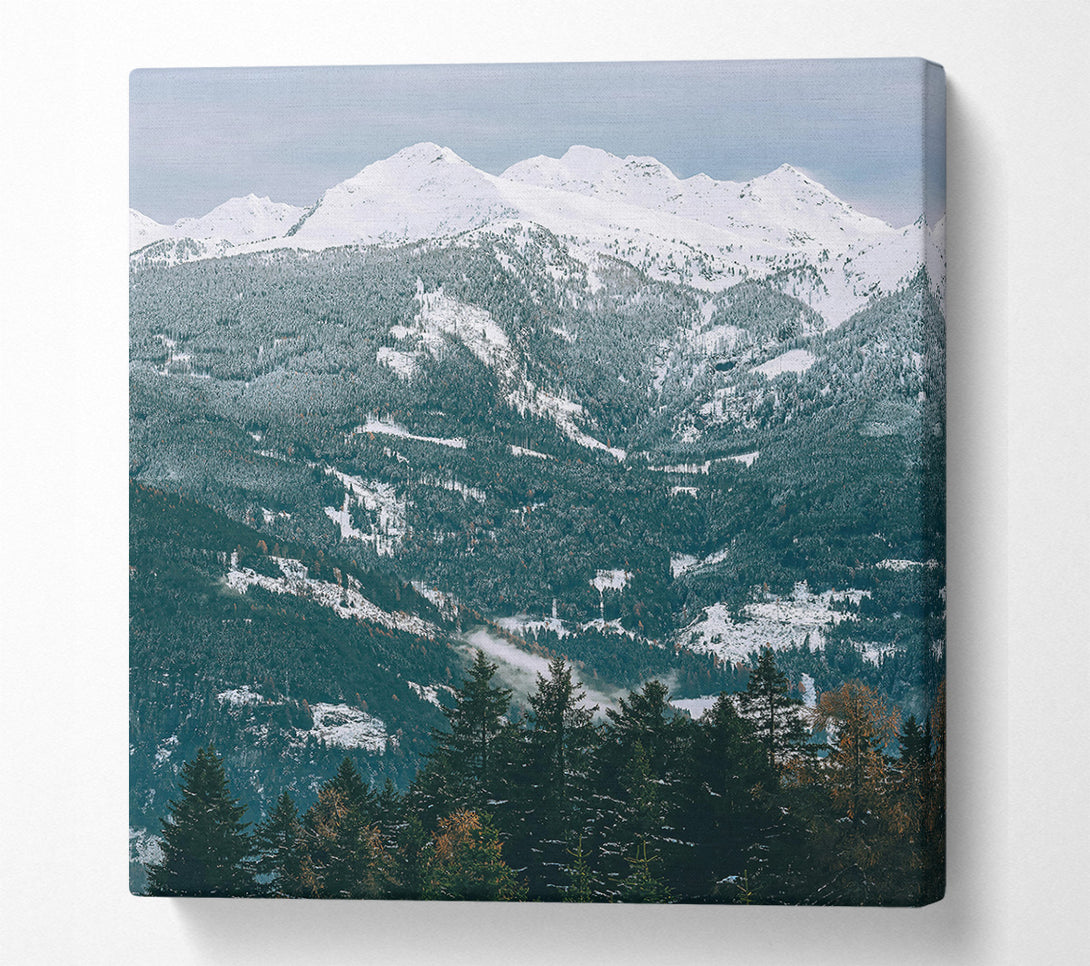  A Canvas Print of White Peaks Over Forest Green Canvas Wall Art