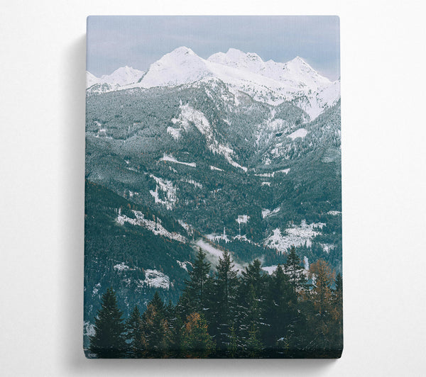  A Canvas Print of White Peaks Over Forest Green Canvas Wall Art