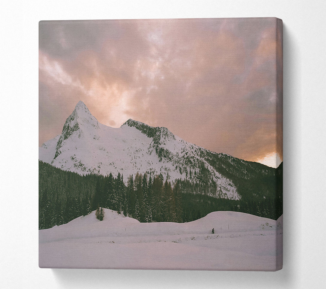  A Canvas Print of Pink Sky Mountaintop Canvas Wall Art