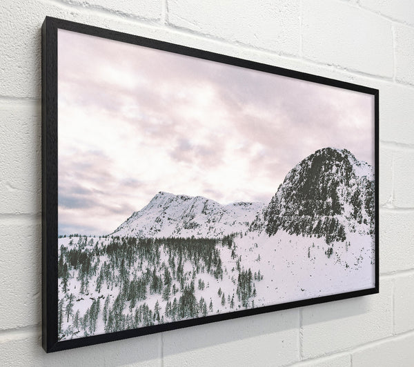 Pale Sky Over Snow