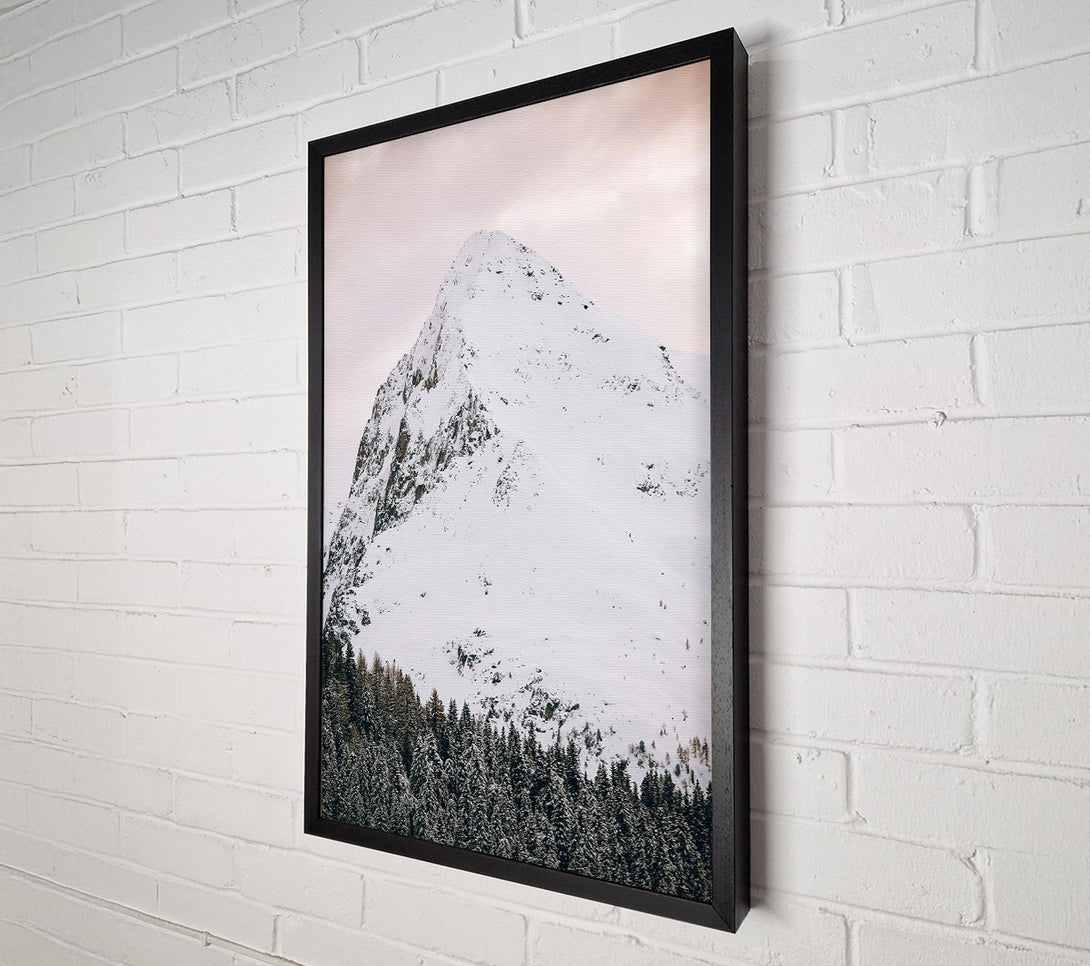  A Canvas Print of Pale Peak And Pines Canvas Print
