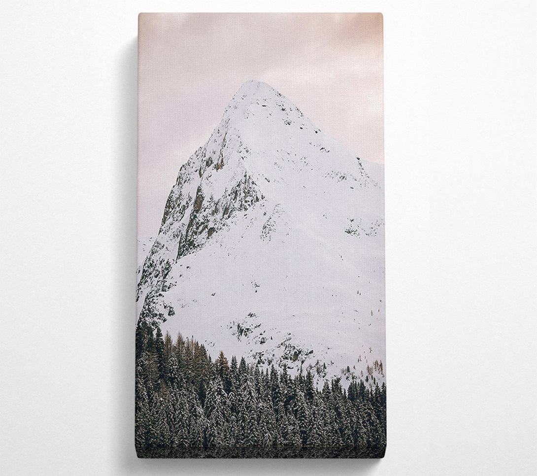  A Canvas Print of Pale Peak And Pines Canvas Print